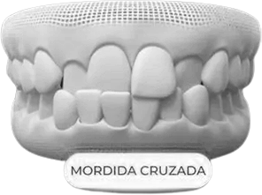 AnyConv.com__2-removebg-preview